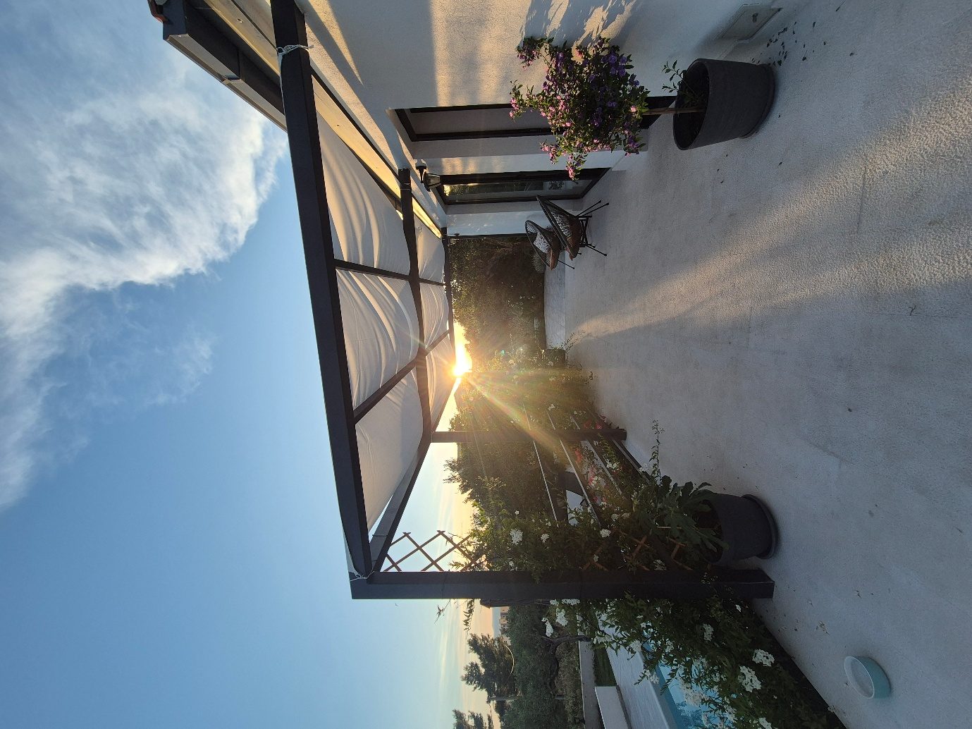 Olive Lounge House — photo 5