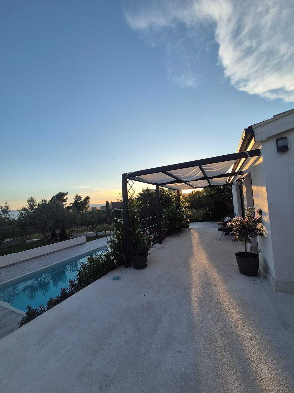 Olive Lounge House — photo 4