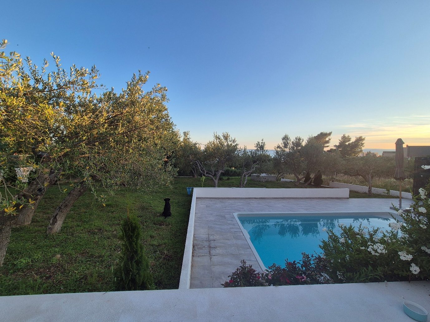 Olive Lounge House — photo 3
