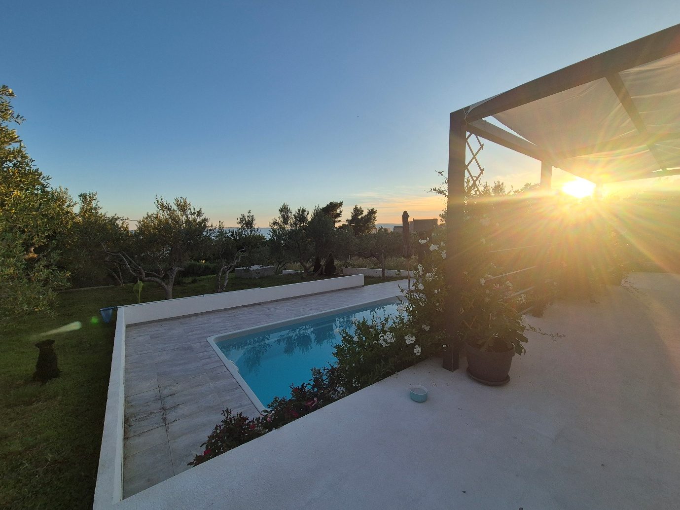 Olive Lounge House — photo 2