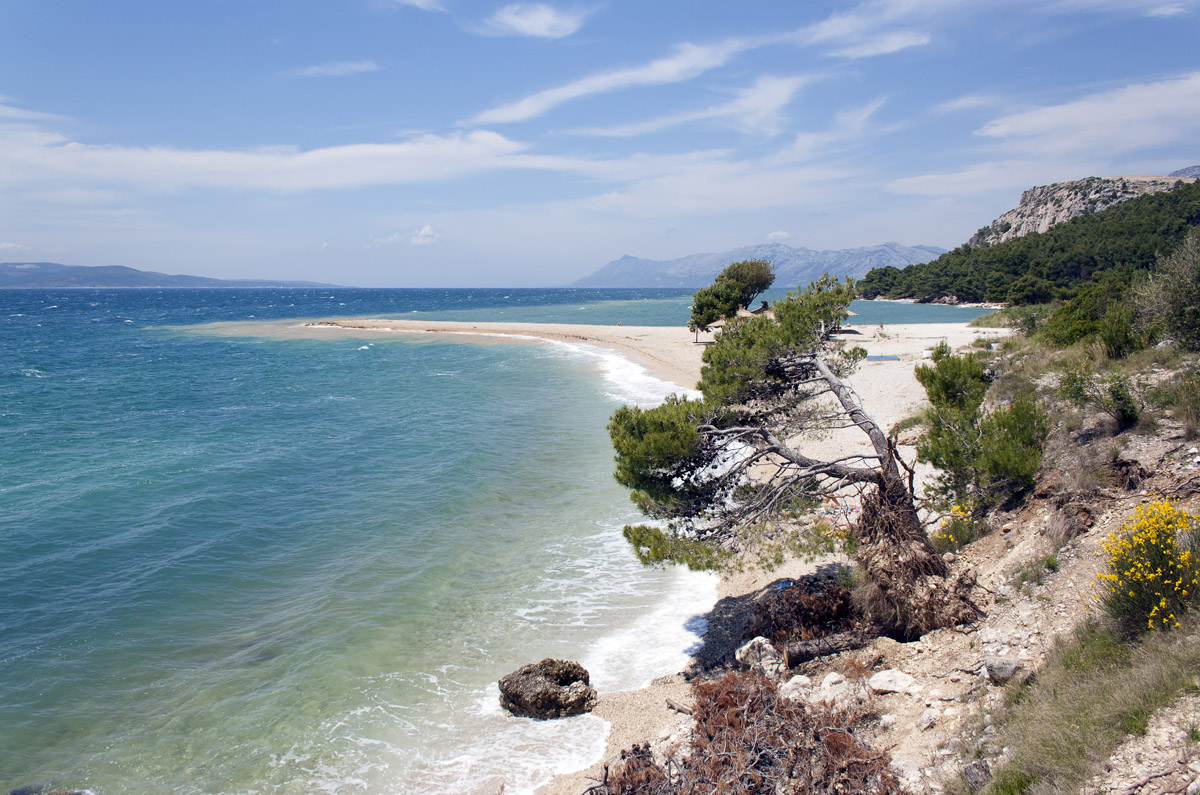 Cvitačka Beach in Makarska — a long pebble beach with pines leaning over turquoise water