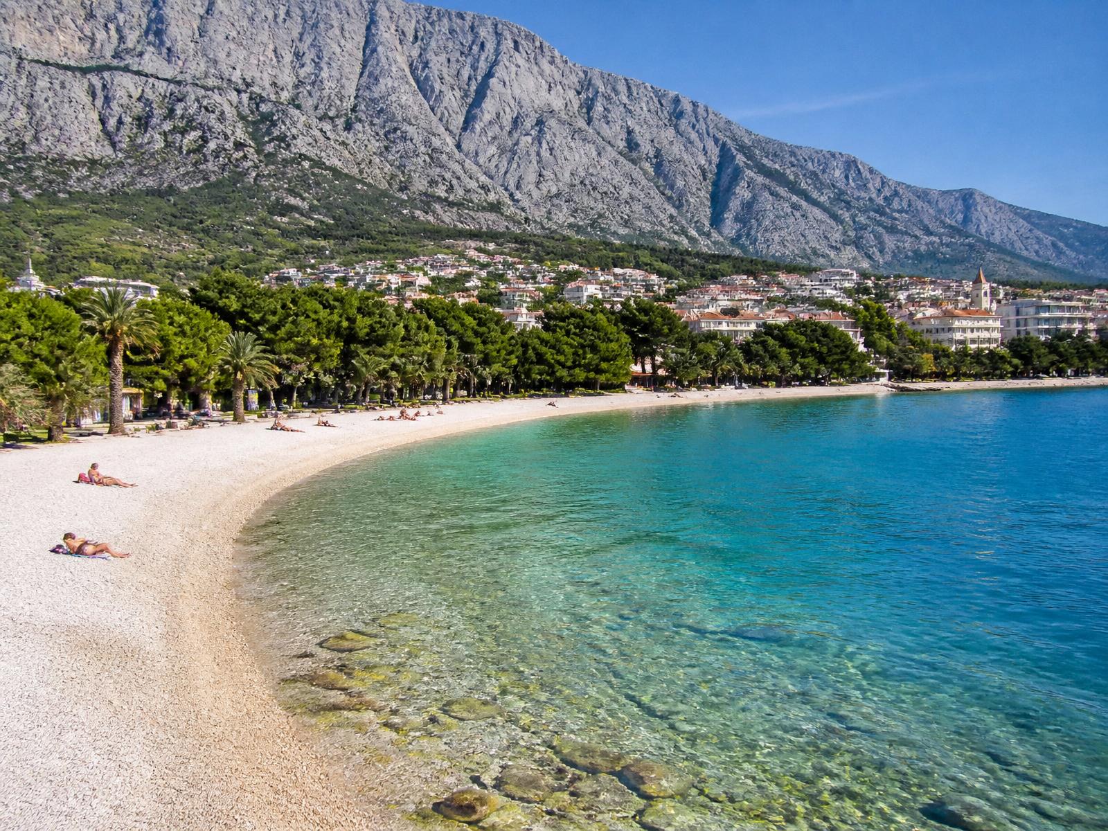 The Makarska coastline with pebble beach and pine trees